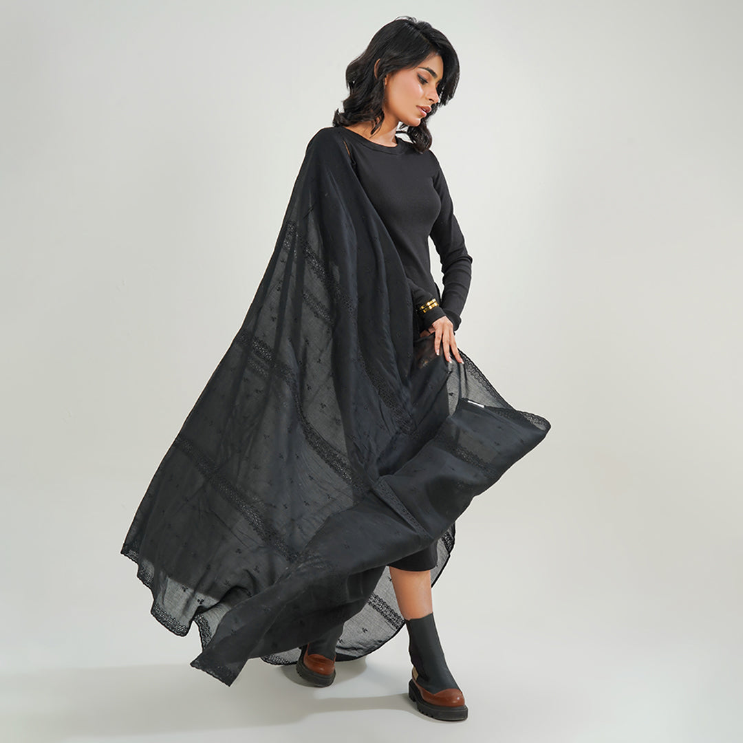 Embraided chikankari shawls - (Black)