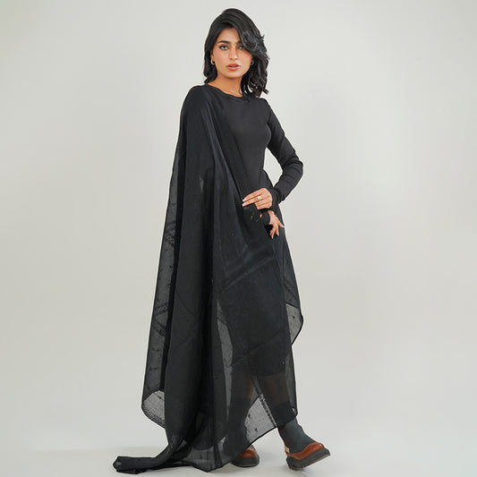 Embraided chikankari shawls - (Black)
