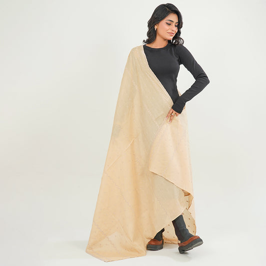 Embraided chikankari shawls - (OATMEAL)
